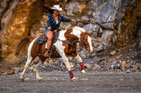 AlpenPad 2.0 Butterfly Pad – maximale Widerrist & Schulterfreiheit – Grau / helles Leder