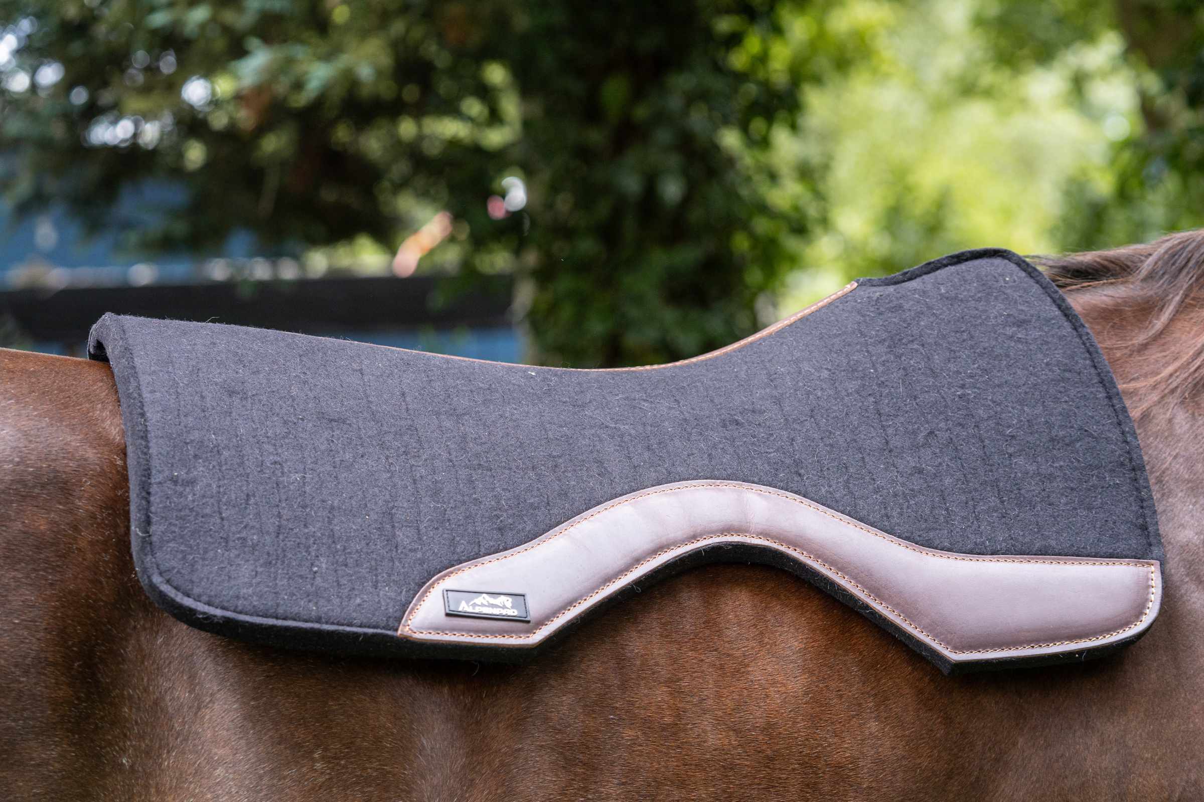 AlpenPad Pro Line – High Quality Performance Westernpad – Black / brown leather