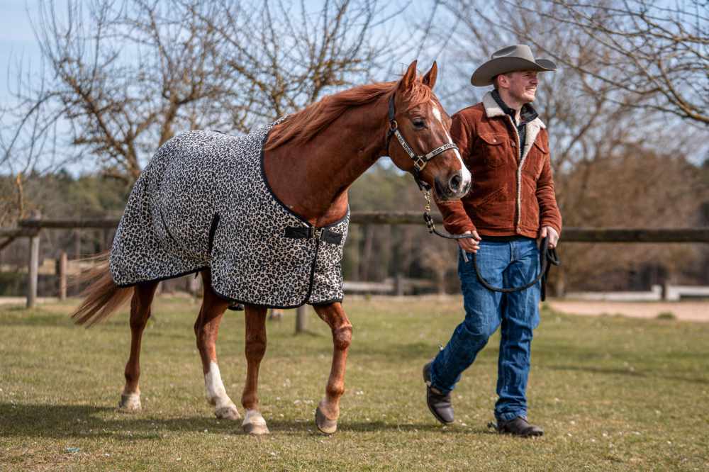 AlpenPad – Fleece Horsecooler / Abschwitzdecke Leo