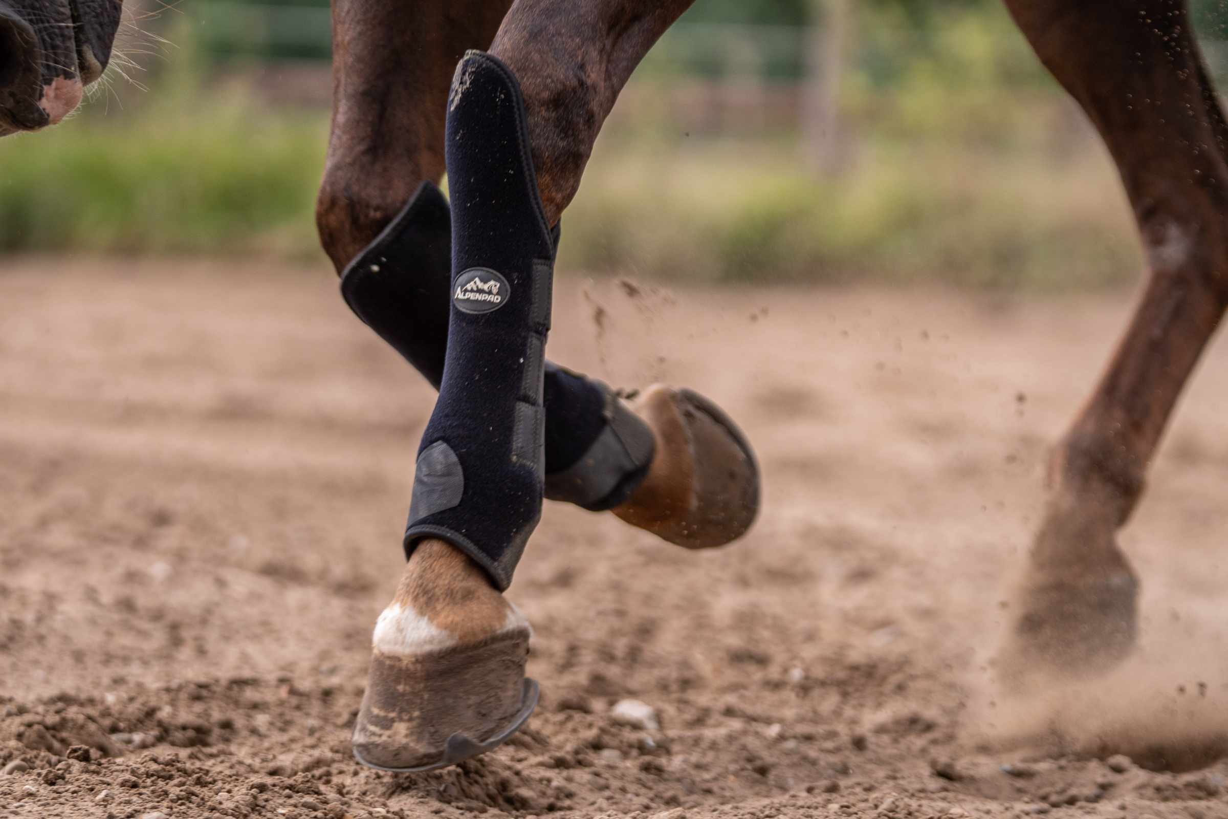 AlpenPad – EquiShield Knee Protect Gamaschen