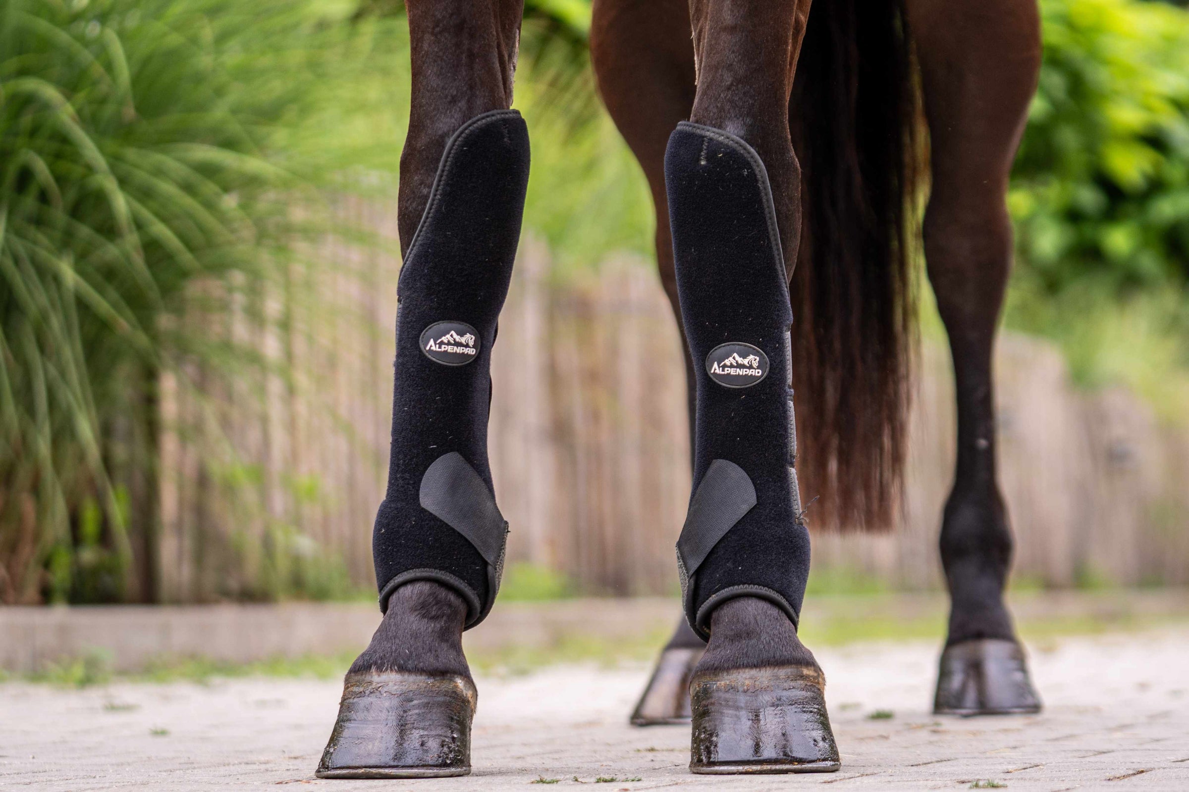 AlpenPad – EquiShield Knee Protect Gamaschen