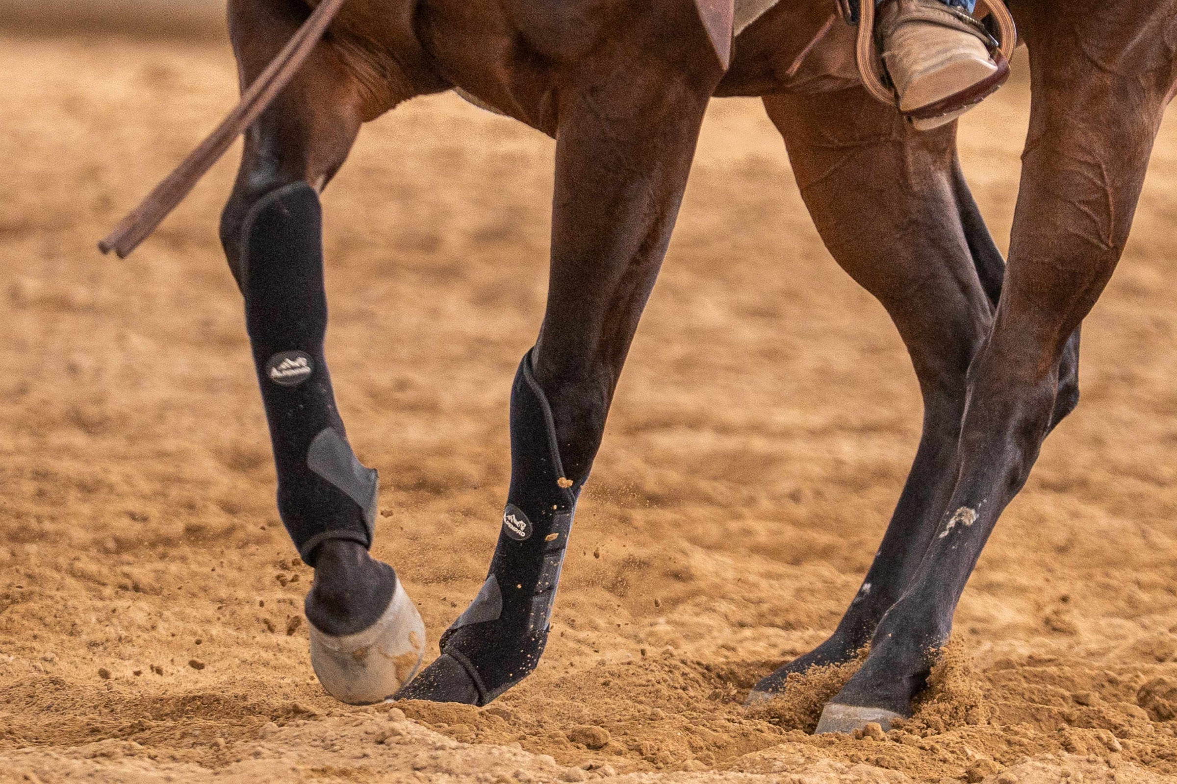 AlpenPad – EquiShield Knee Protect Gamaschen
