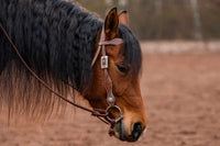 AlpenPad – Pro Line – Kopfstück mit Stirnriemen – 16 Styles