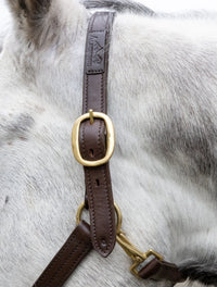 AlpenPad – Pro Line – Lederhalfter braun