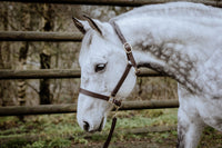 AlpenPad – Pro Line – Lederhalfter braun