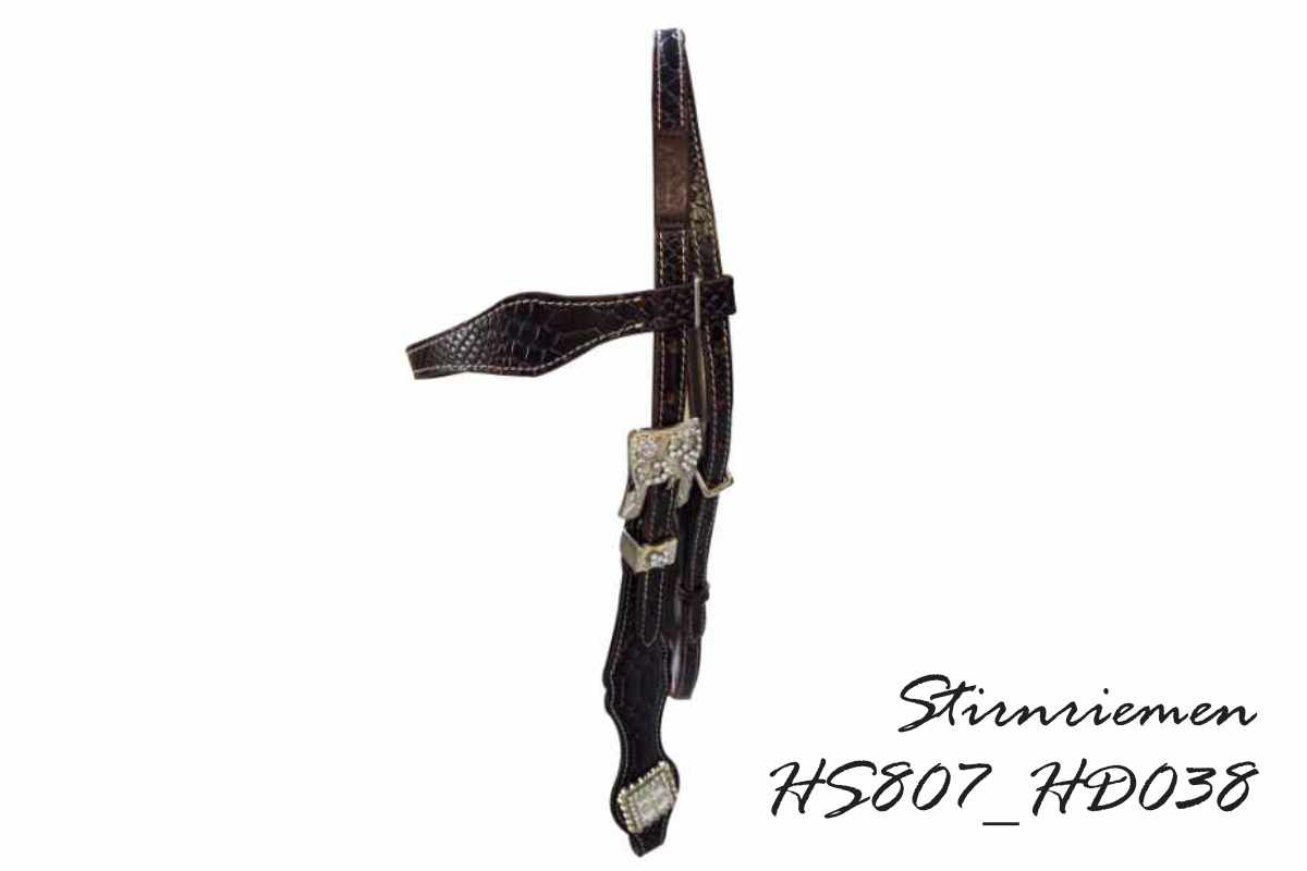 AlpenPad – Pro Line – Kopfstück mit Stirnriemen – 16 Styles