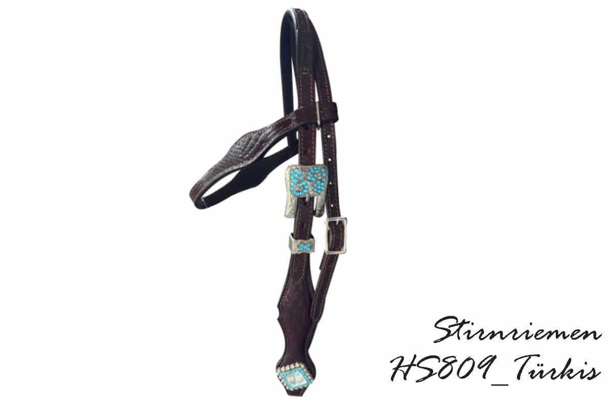 AlpenPad – Pro Line – Kopfstück mit Stirnriemen – 16 Styles