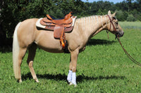 Goldenes Pferd mit Westernsattel und Westernpferd
