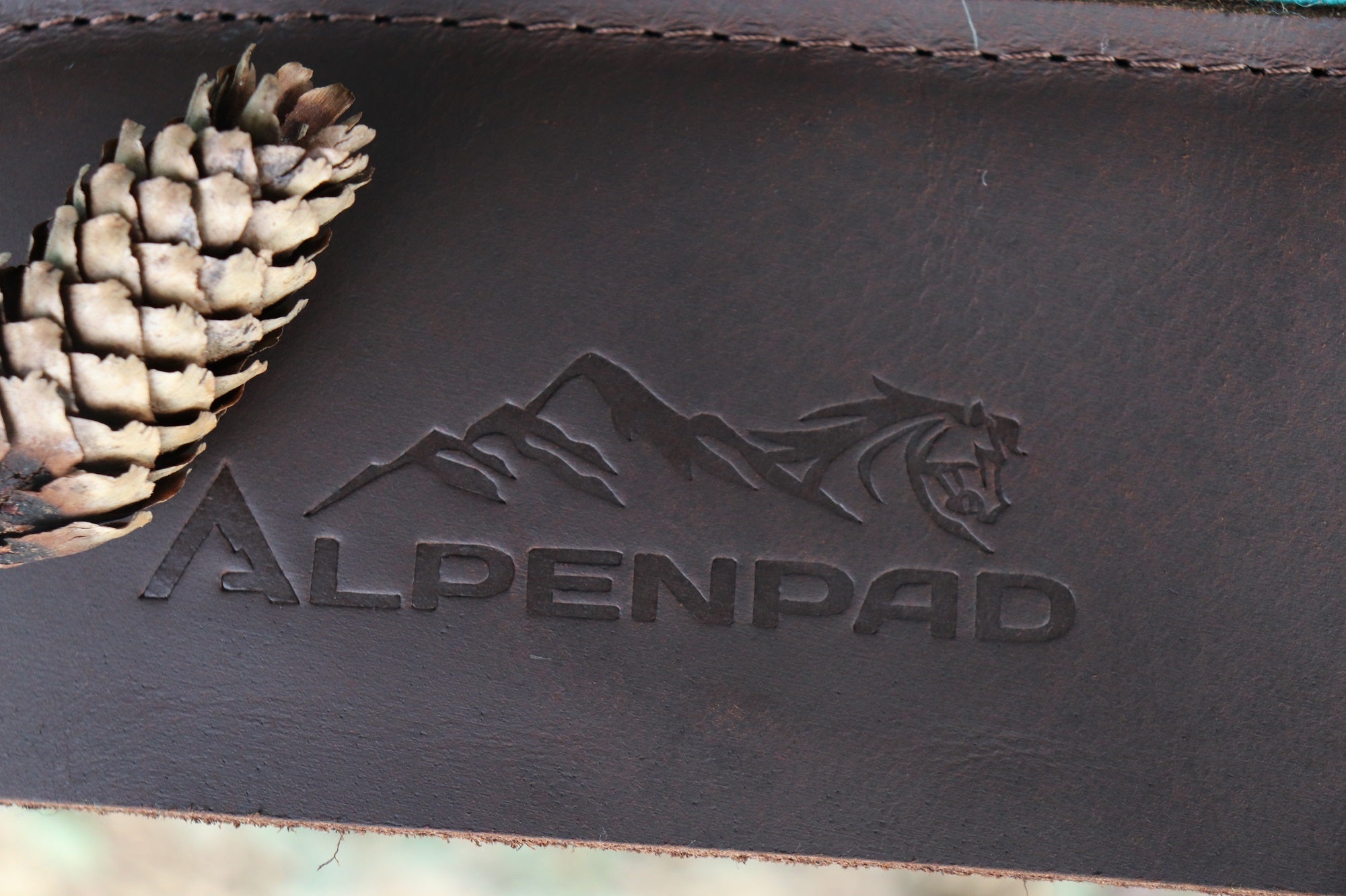 AlpenPad – Besticktes Baumwoll Shirt  – Schwarz - Horse_Art_Bodensee